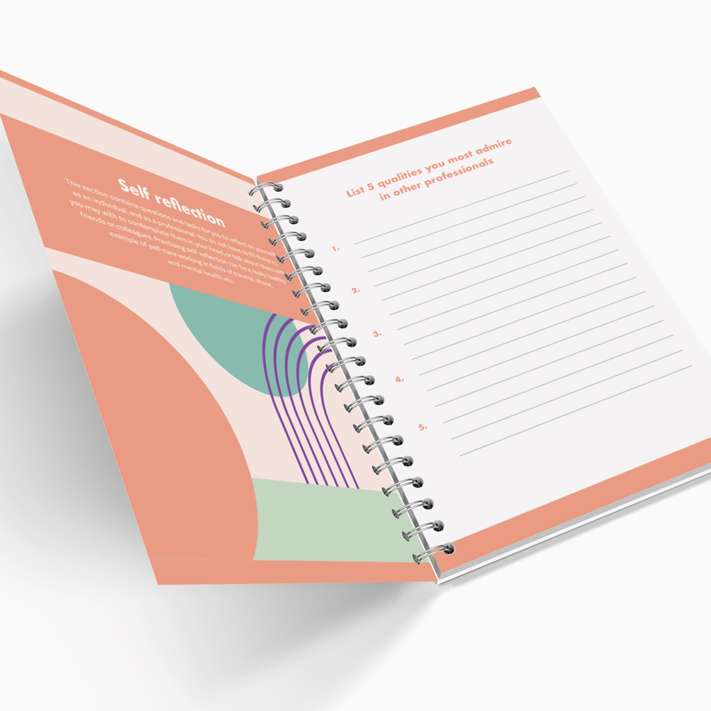 The Practical Resource for Professionals - Includes Undated Diary
