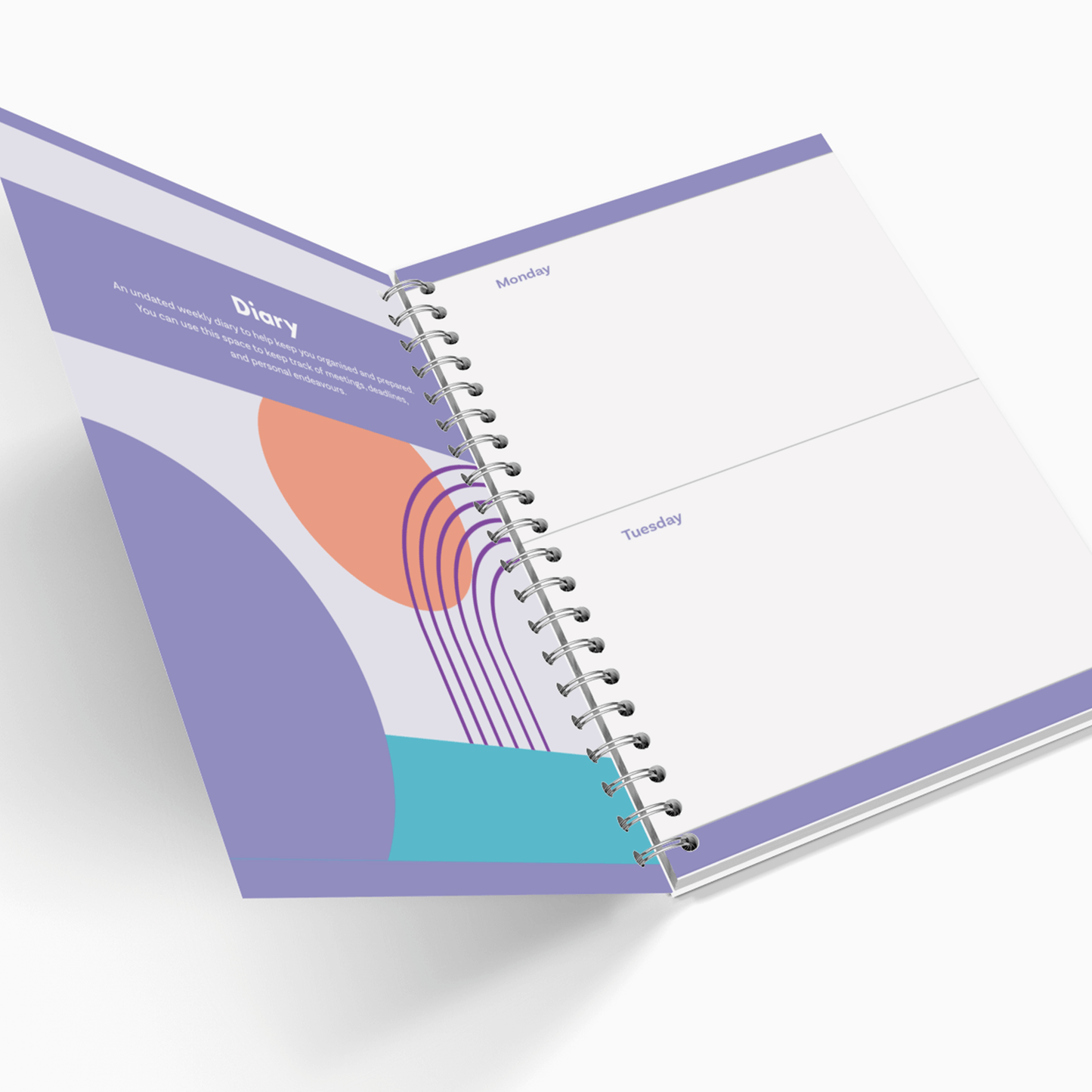 The Practical Resource for Professionals - Includes Undated Diary