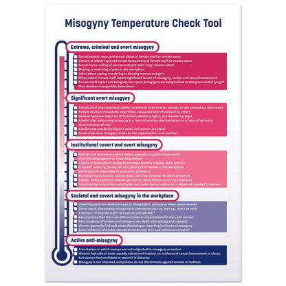 Misogyny Temperature Check Tool A4 Poster
