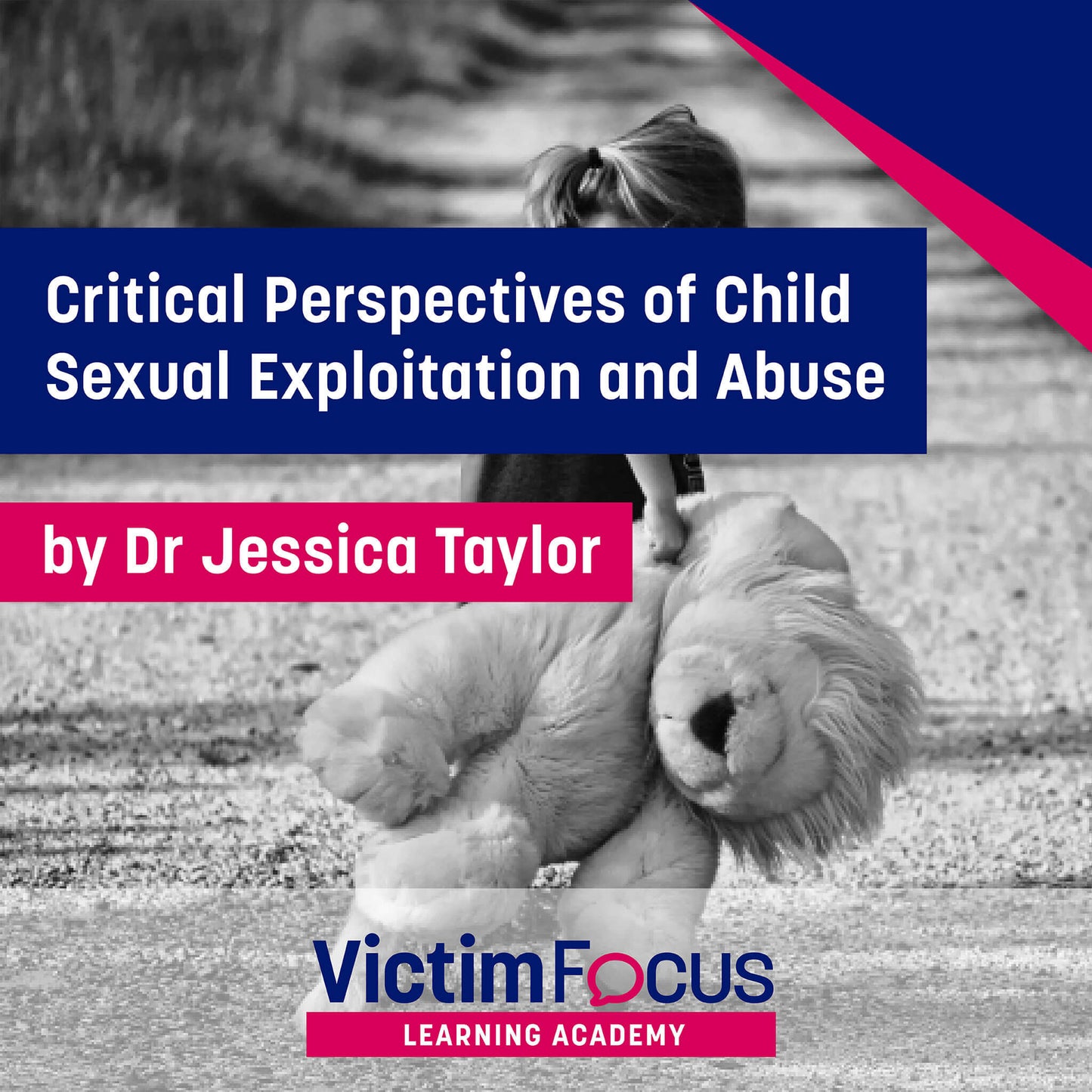 Critical Perspectives of Child Sexual Exploitation and Abuse - VictimFocus Academy Online Course